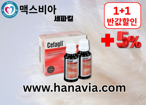 55faa173022f7e60cca3a99d8ac0a5b1_1781674774_4852.png 55faa173022f7e60cca3a99d8ac0a5b1_1781674774_4852.png